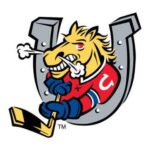 Sudbury Wolves vs. Barrie Colts