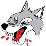 Sudbury Wolves vs. Windsor Spitfires